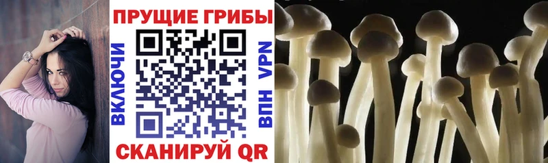 Галлюциногенные грибы MAGIC MUSHROOMS  Соль-Илецк 