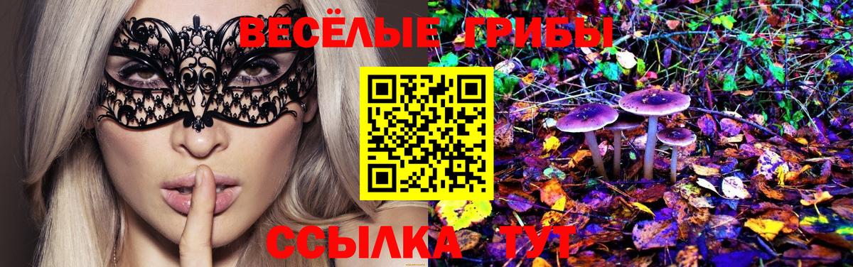 Галлюциногенные грибы GOLDEN TEACHER  Вход с VPN  Соль-Илецк  Галлюциногенные грибы Cubensis 
