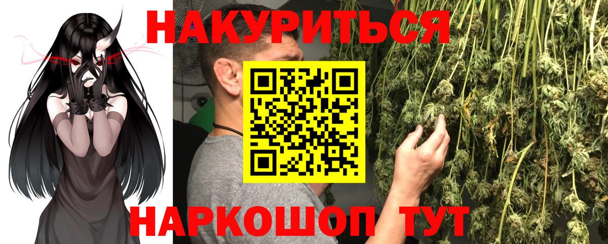 Канабис планчик Соль-Илецк